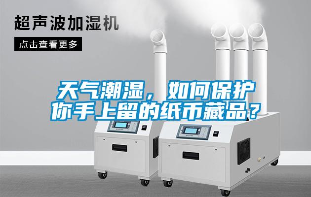 天氣潮濕，如何保護(hù)你手上留的紙幣藏品？