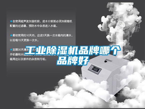 工業(yè)除濕機(jī)品牌哪個(gè)品牌好