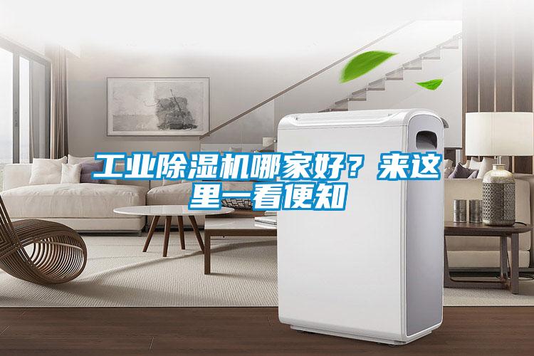 工業(yè)除濕機(jī)哪家好？來這里一看便知