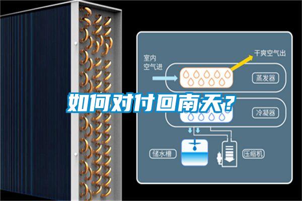 如何對(duì)付回南天？