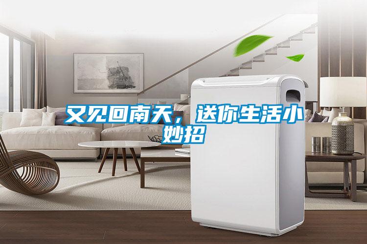 又見回南天，送你生活小妙招