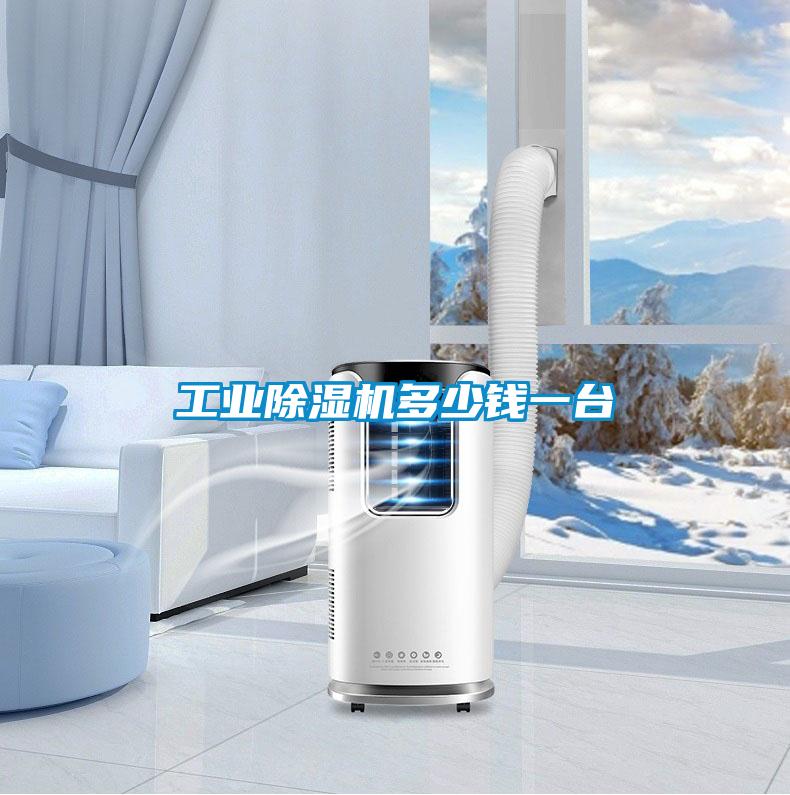 工業(yè)除濕機(jī)多少錢(qián)一臺(tái)