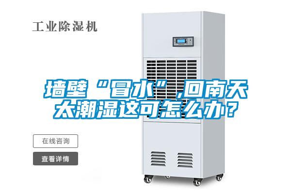墻壁“冒水”,回南天太潮濕這可怎么辦？