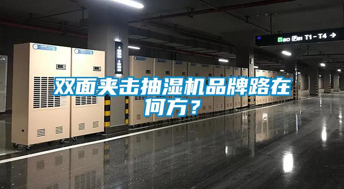 雙面夾擊抽濕機品牌路在何方？