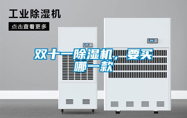 雙十一除濕機(jī)，要買哪一款