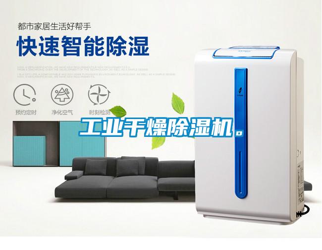 工業(yè)干燥除濕機(jī)。