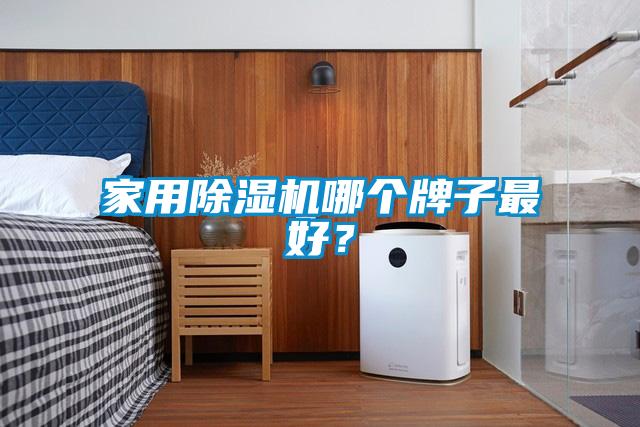 家用除濕機(jī)哪個牌子最好？