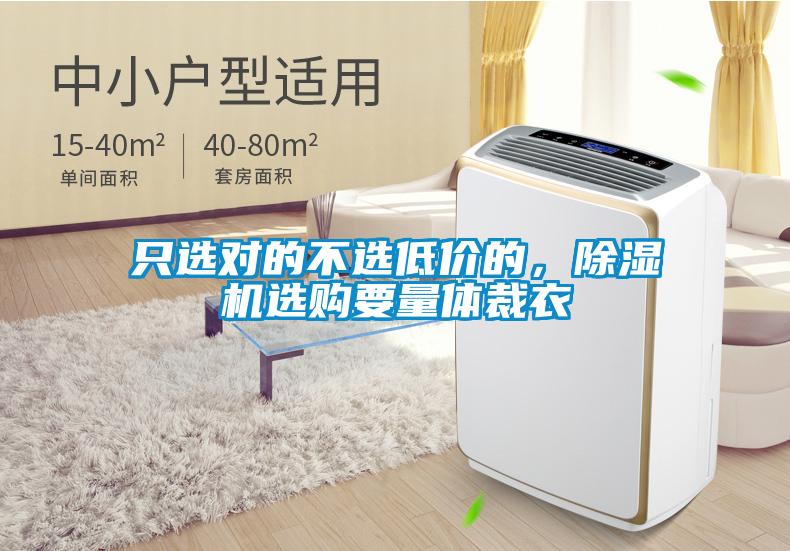 只選對(duì)的不選低價(jià)的，除濕機(jī)選購(gòu)要量體裁衣