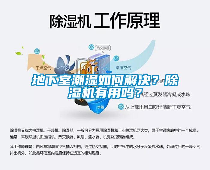 地下室潮濕如何解決？除濕機有用嗎？