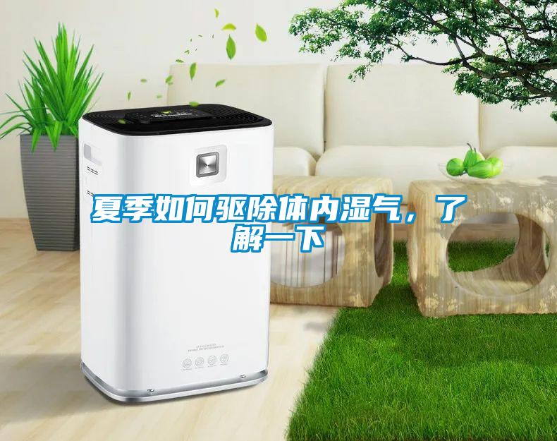 夏季如何驅(qū)除體內(nèi)濕氣，了解一下