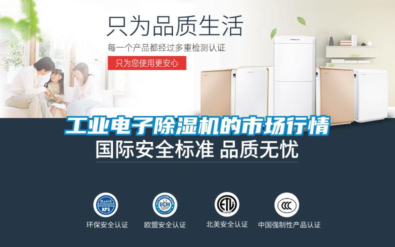 工業(yè)電子除濕機(jī)的市場(chǎng)行情