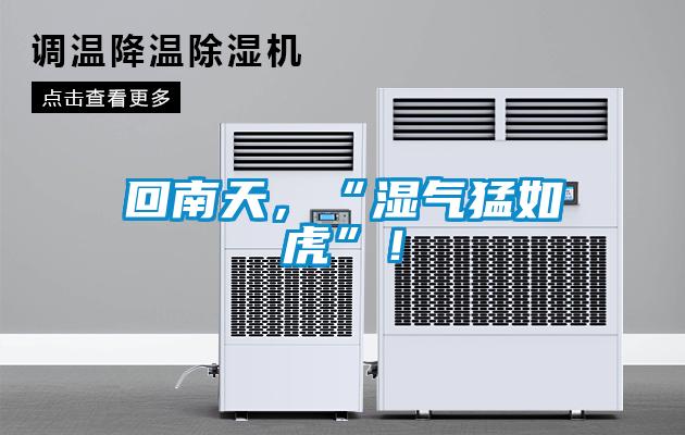 回南天，“濕氣猛如虎”！