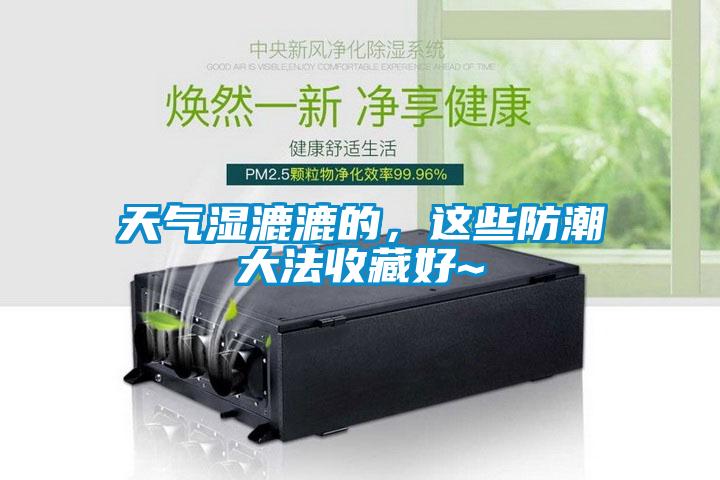 天氣濕漉漉的，這些防潮大法收藏好~