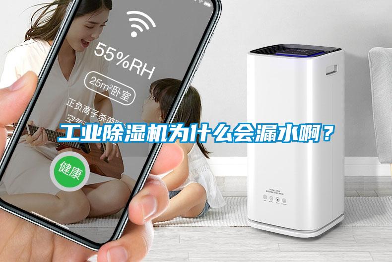 工業(yè)除濕機(jī)為什么會(huì)漏水啊？