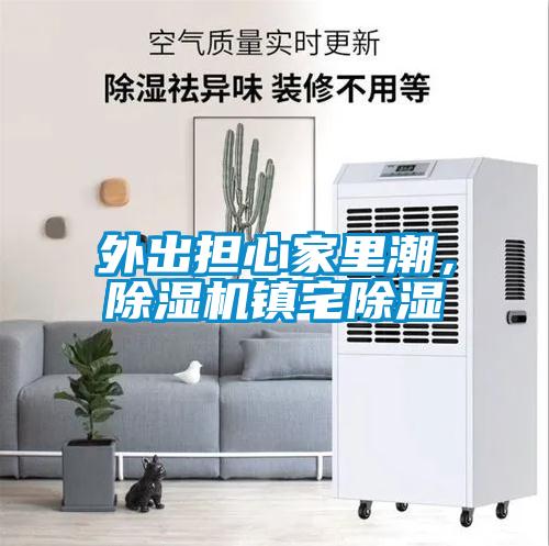 外出擔(dān)心家里潮，除濕機鎮(zhèn)宅除濕
