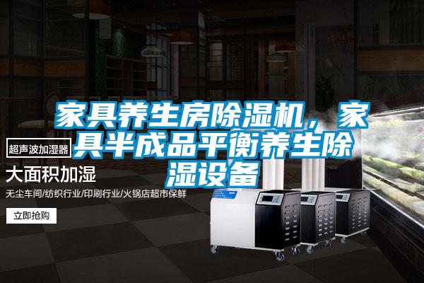 家具養(yǎng)生房除濕機(jī)，家具半成品平衡養(yǎng)生除濕設(shè)備