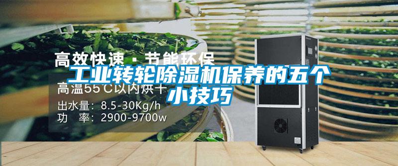 工業(yè)轉輪除濕機保養(yǎng)的五個小技巧