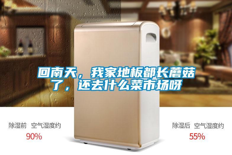 回南天，我家地板都長蘑菇了，還去什么菜市場呀