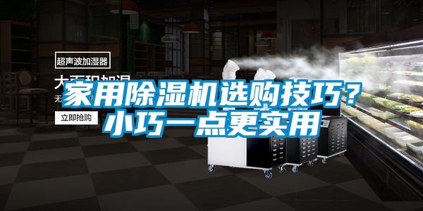 家用除濕機(jī)選購(gòu)技巧？小巧一點(diǎn)更實(shí)用