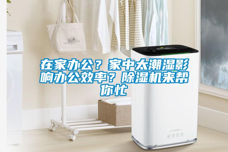 在家辦公？家中太潮濕影響辦公效率？除濕機(jī)來(lái)幫你忙