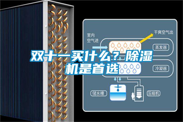 雙十一買什么？除濕機(jī)是首選