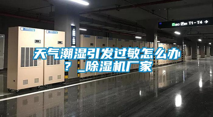 天氣潮濕引發(fā)過敏怎么辦？_除濕機(jī)廠家