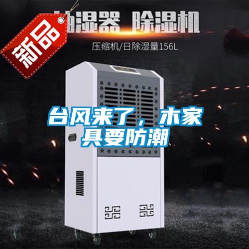 臺風(fēng)來了，木家具要防潮