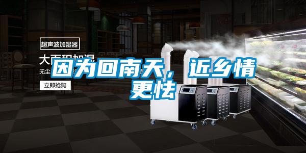 因?yàn)榛啬咸?，近鄉(xiāng)情更怯