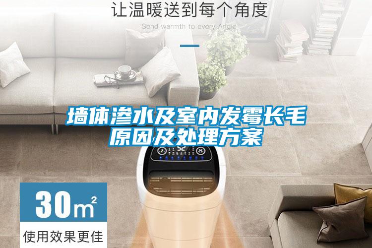 墻體滲水及室內發(fā)霉長毛原因及處理方案