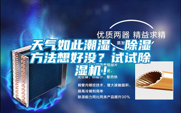 天氣如此潮濕，除濕方法想好沒？試試除濕機(jī)！