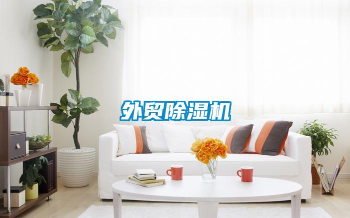 外貿(mào)除濕機