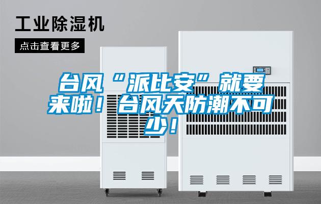 臺風(fēng)“派比安”就要來啦！臺風(fēng)天防潮不可少！