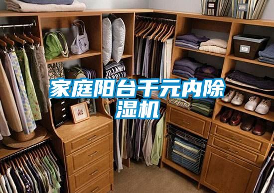 家庭陽(yáng)臺(tái)千元內(nèi)除濕機(jī)