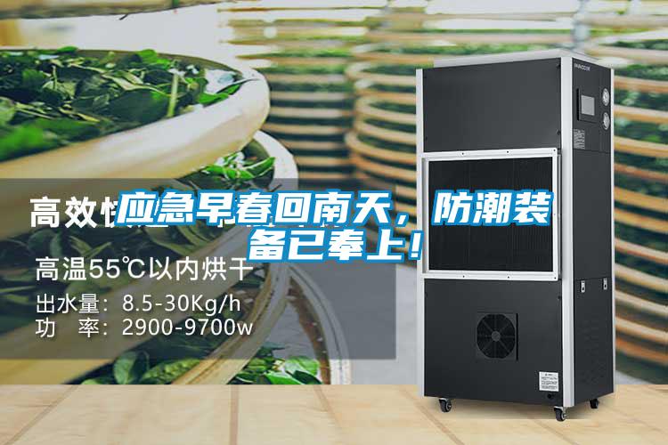應急早春回南天，防潮裝備已奉上！