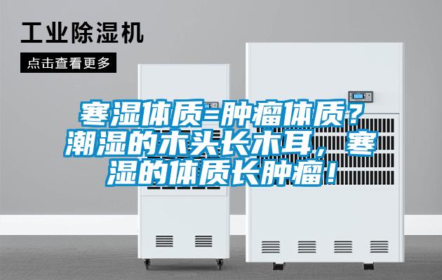 寒濕體質(zhì)=腫瘤體質(zhì)？潮濕的木頭長木耳，寒濕的體質(zhì)長腫瘤！