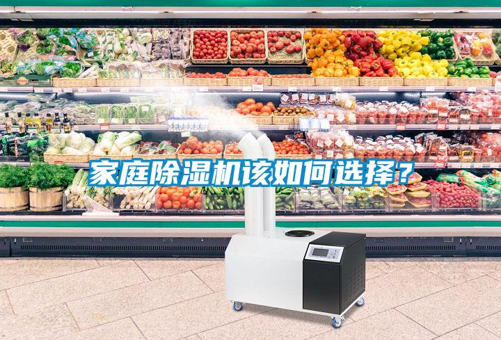 家庭除濕機該如何選擇？