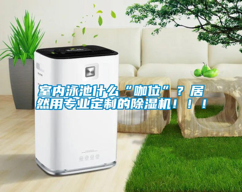 室內(nèi)泳池什么“咖位”？居然用專(zhuān)業(yè)定制的除濕機(jī)?。?！