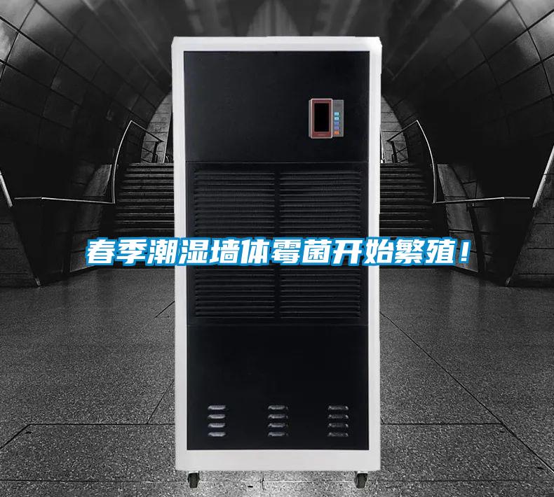 春季潮濕墻體霉菌開始繁殖！
