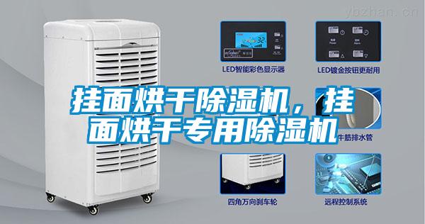 掛面烘干除濕機，掛面烘干專用除濕機
