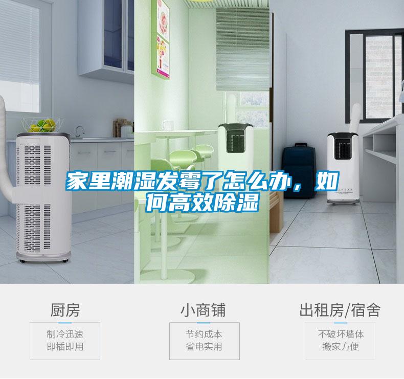 家里潮濕發(fā)霉了怎么辦，如何高效除濕