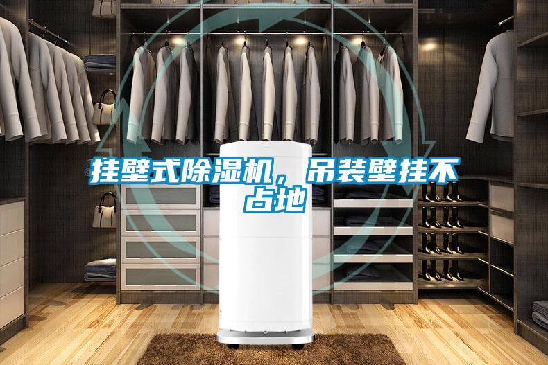 掛壁式除濕機(jī)，吊裝壁掛不占地