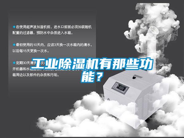 工業(yè)除濕機(jī)有那些功能？