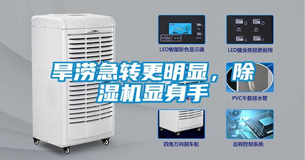 旱澇急轉(zhuǎn)更明顯，除濕機顯身手