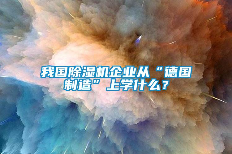 我國(guó)除濕機(jī)企業(yè)從“德國(guó)制造”上學(xué)什么？