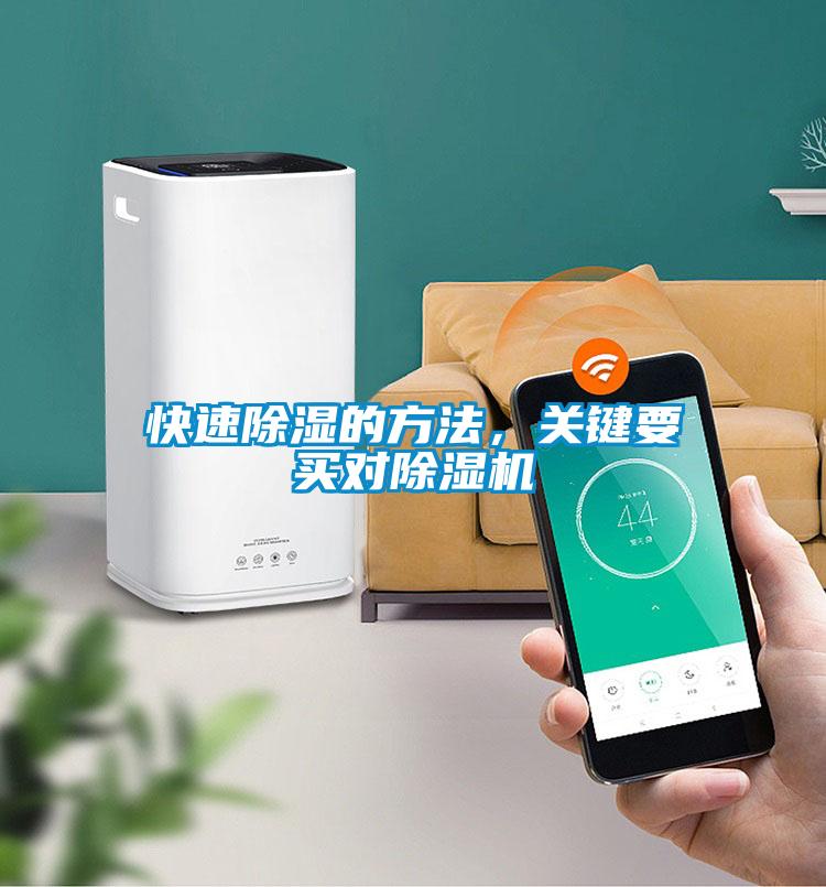 快速除濕的方法，關鍵要買對除濕機