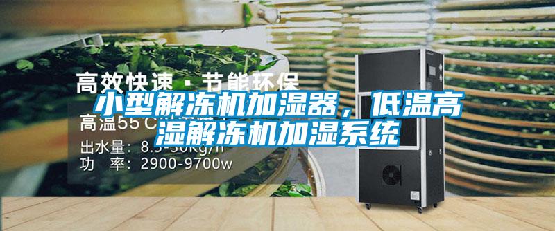 小型解凍機加濕器，低溫高濕解凍機加濕系統(tǒng)