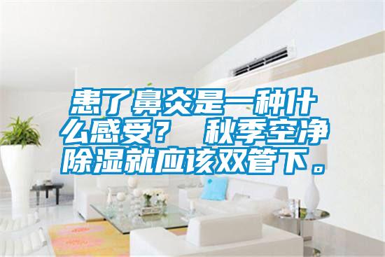患了鼻炎是一種什么感受？ 秋季空凈除濕就應(yīng)該雙管下。