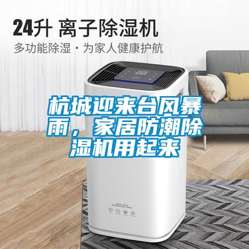 杭城迎來臺風暴雨，家居防潮除濕機用起來