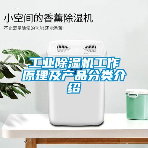 工業(yè)除濕機工作原理及產(chǎn)品分類介紹