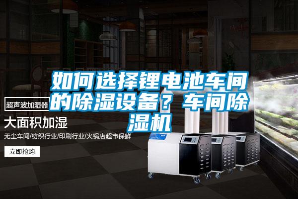 如何選擇鋰電池車(chē)間的除濕設(shè)備？車(chē)間除濕機(jī)